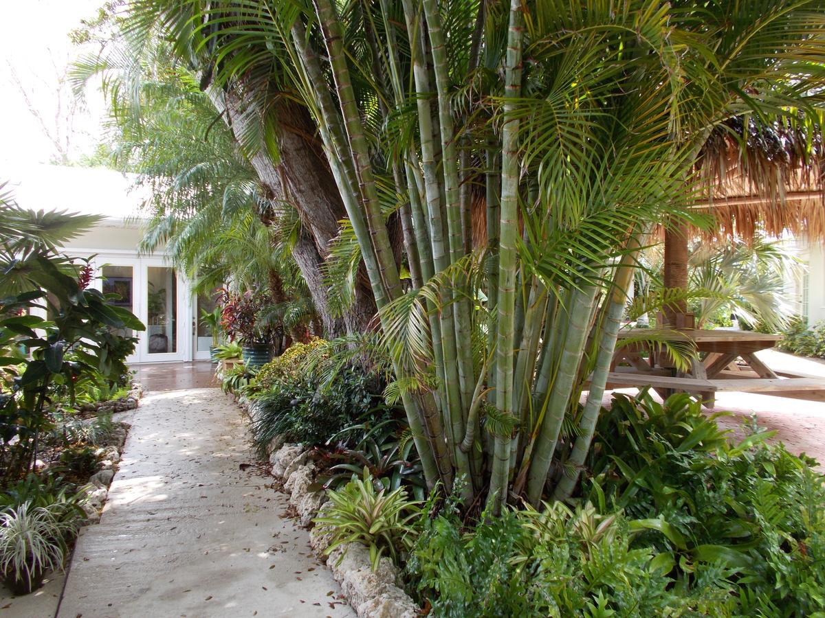 Kona Kai Resort And Gallery (Adults Only) Key Largo Exterior photo